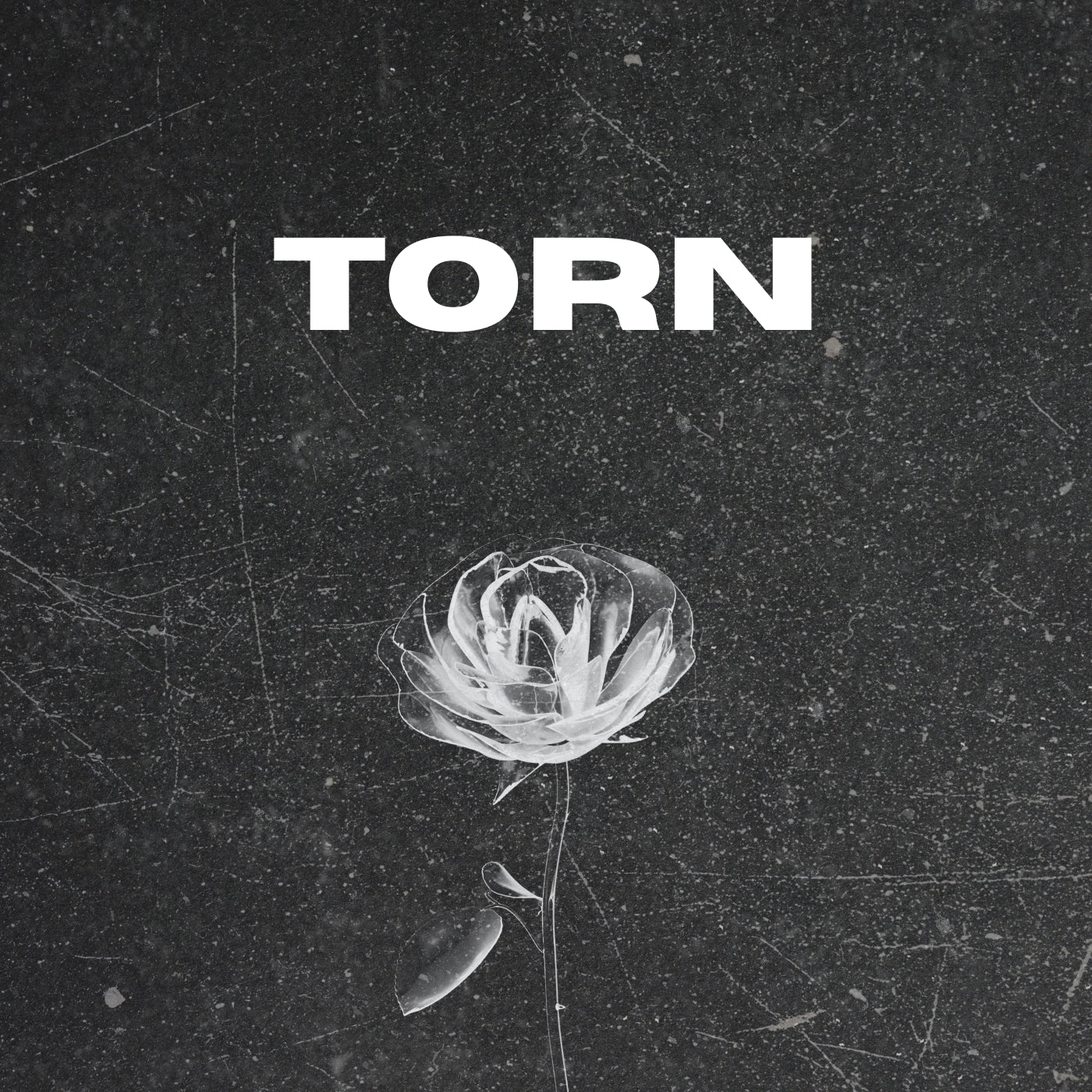Torn (Original Vocals)