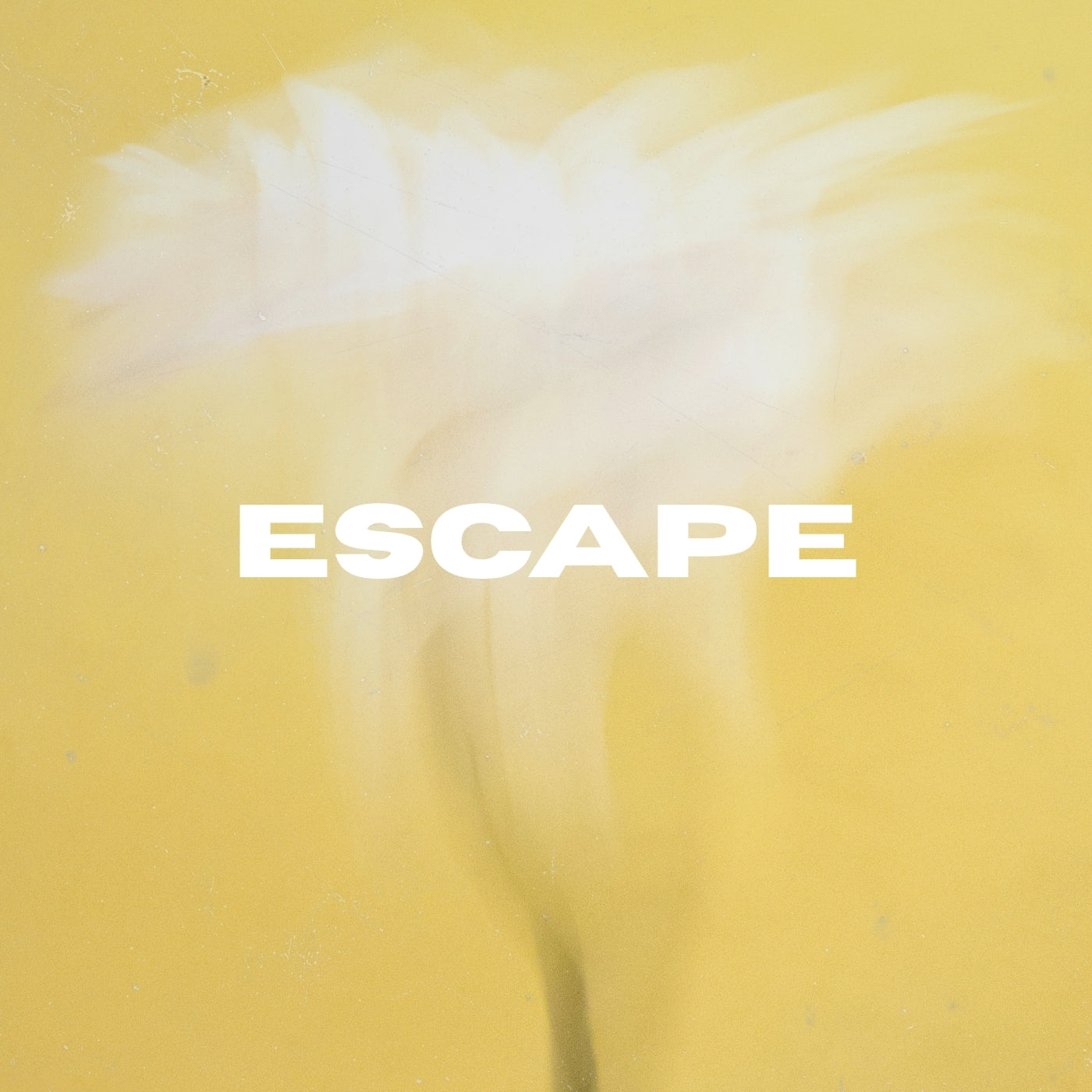 Escape (Original Vocals)