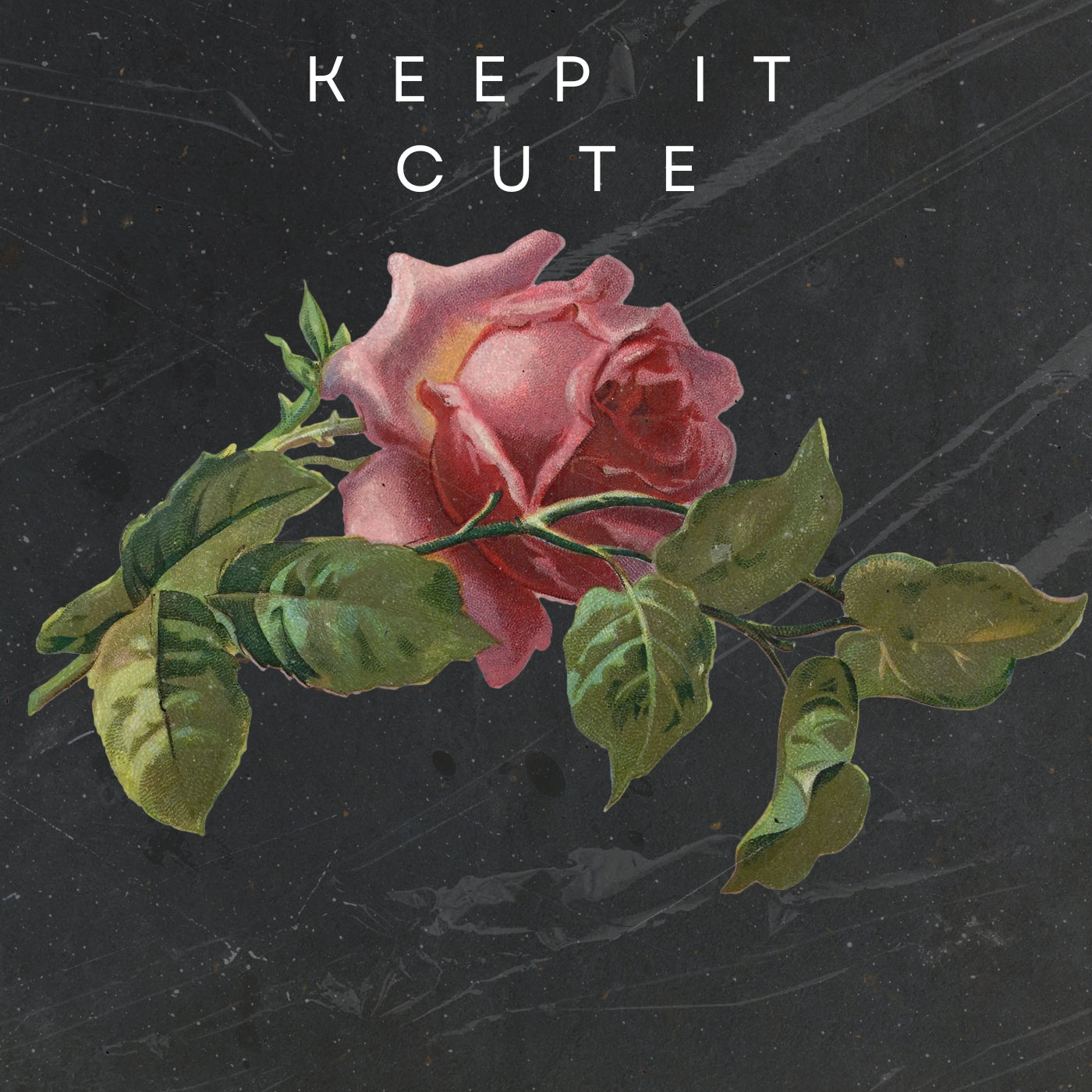 Keep It Cute (Original Vocals)
