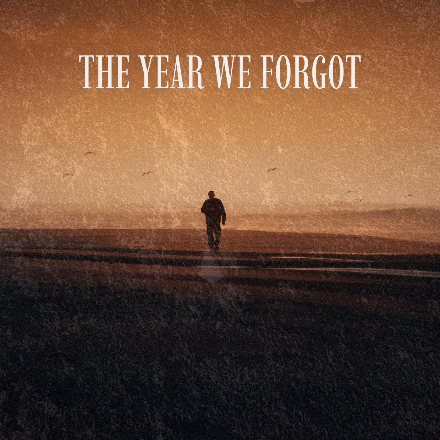 The Year We Forgot (Original Vocals)